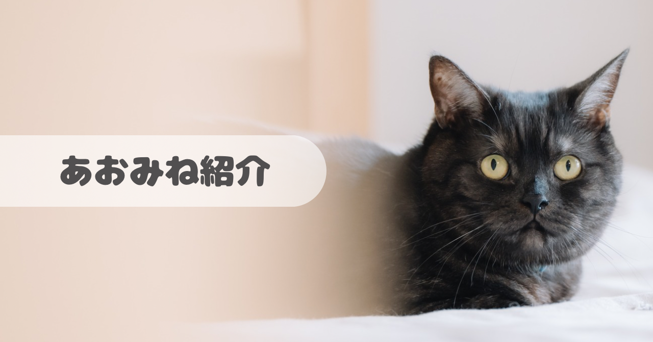 プロフィール